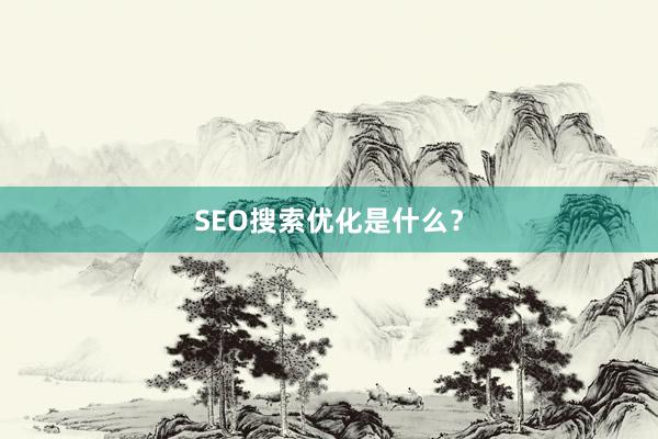 SEO搜索优化是什么？
