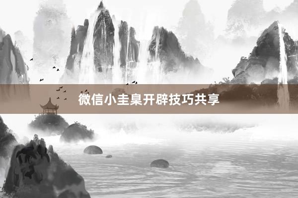 微信小圭臬开辟技巧共享