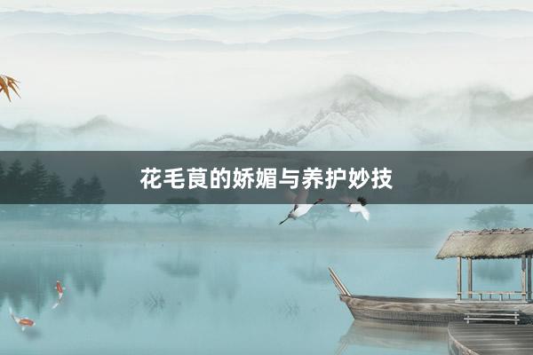 花毛茛的娇媚与养护妙技