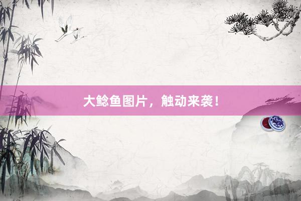 大鲶鱼图片，触动来袭！